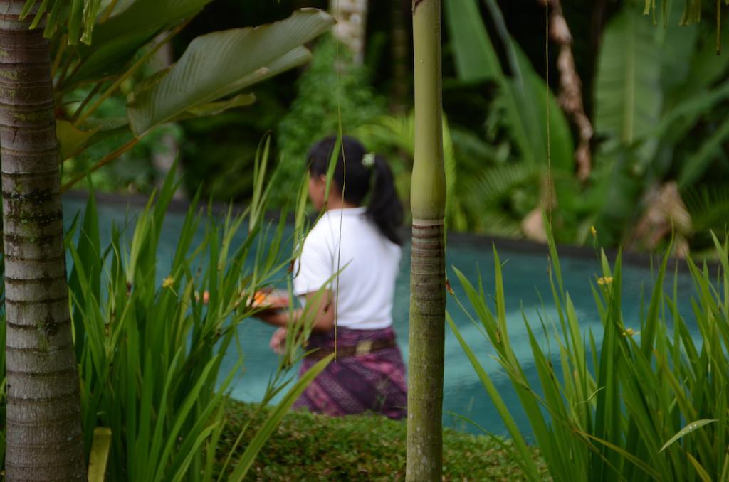 The White Villas Ubud Exterior foto